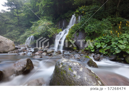 【山梨県】川俣渓谷 吐竜の滝 【山梨県】川俣渓谷 吐竜の滝 57268474