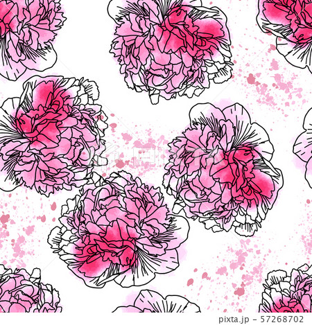 Seamless pattern with watercolor peonies isolated on white. 57268702