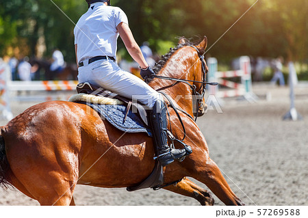 Young male horse rider on show jumping competition 57269588