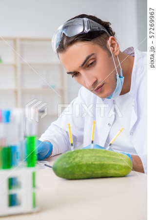 Male nutrition expert testing vegetables in lab Male nutrition expert testing vegetables in lab 57269967