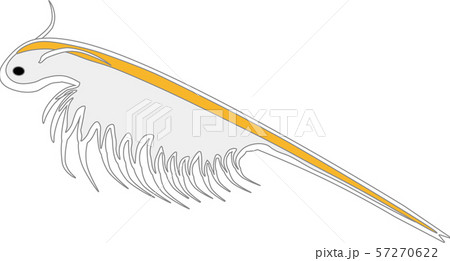 アルテミア 57270622