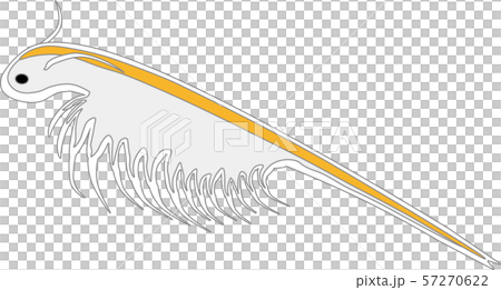 アルテミア 57270622