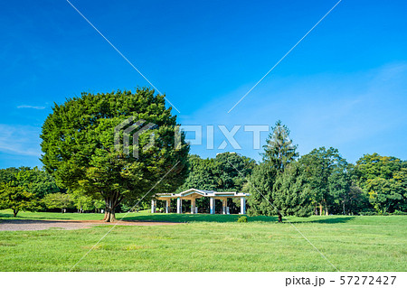東京 夏の光が丘公園 東京 夏の光が丘公園 57272427