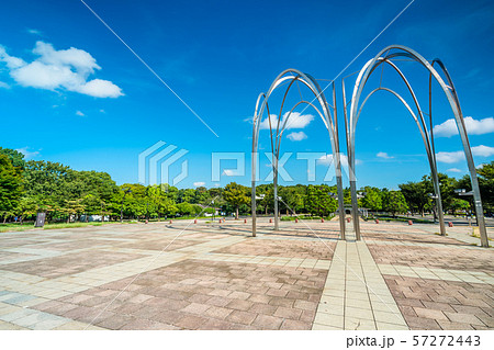 東京　夏の光が丘公園 57272443