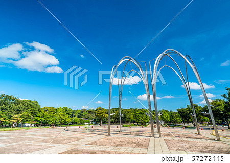 東京 夏の光が丘公園 東京 夏の光が丘公園 57272445