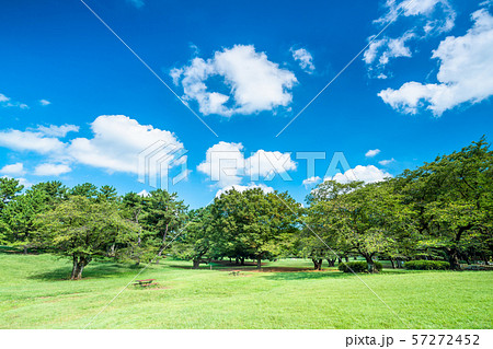 東京　夏の光が丘公園 57272452