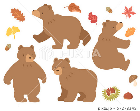 クマのイラストと秋の味覚 紅葉のアイコンセットのイラスト素材 57273345 Pixta
