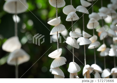 Mobile shells Mobile shells 57273666
