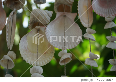 Mobile shells Mobile shells 57273667
