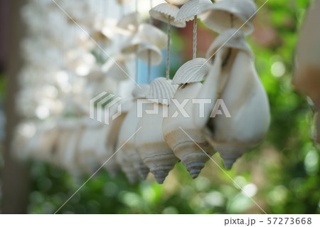 Mobile shells Mobile shells 57273668