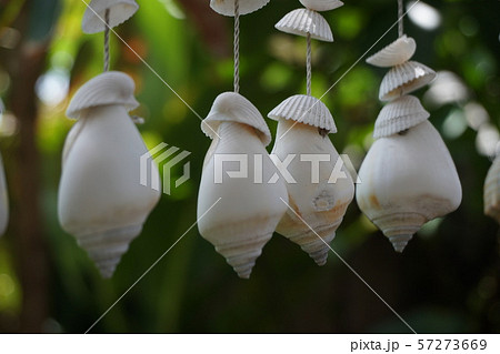 Mobile shells Mobile shells 57273669
