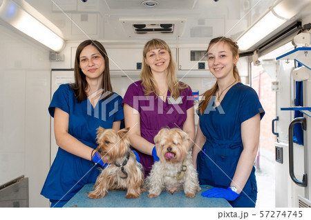 Young women professional pet doctors posing with Young women professional pet doctors posing with 57274745