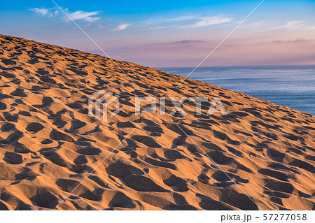 《鳥取県》鳥取砂丘の夜明け 57277058