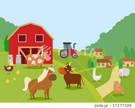Farm animals vector illustration. Domestic animals cow, bull and calf, sheep, horse. Poultry chicken 57277306
