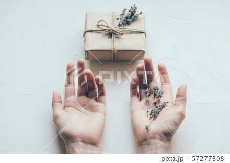 hands lavender gift 57277308