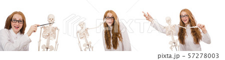 Young female doctor with skeleton isolated on white Young female doctor with skeleton isolated on white 57278003