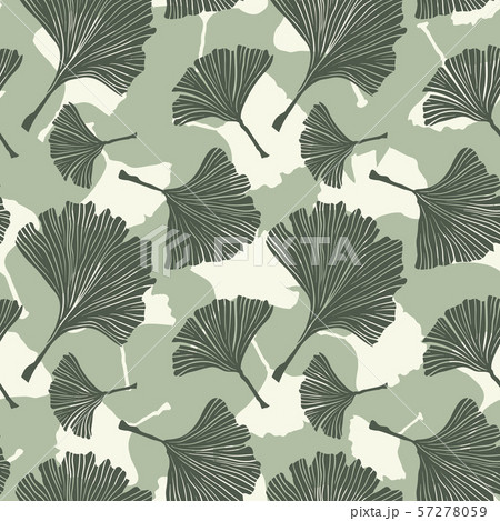 Ginkgo Biloba Plant, Line art Pale Sage Colored... - Stock Illustration  [57278059] - PIXTA