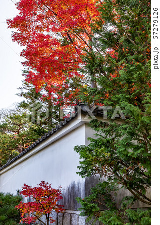 真乗院の白塀 57279126