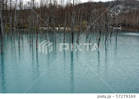 青い池 57279169