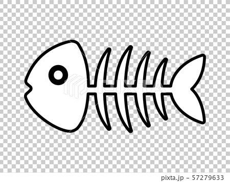 魚の骨のイラスト素材