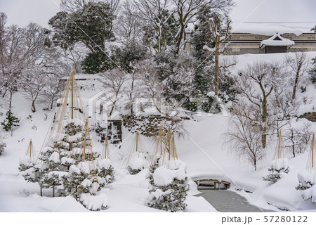 【玉泉院丸庭園 雪吊り】 【玉泉院丸庭園 雪吊り】 57280122