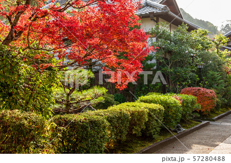 真乗院の紅葉 57280488