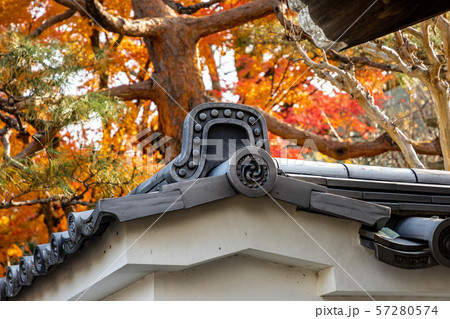 真乗院の紅葉 57280574