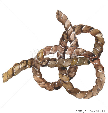 Sea knots sketch glamour illustration in a watercolor style isolated ropes element. Watercolour 57281214