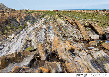 The Flysch Coast of Sakoneta, Zumaia - Basque Country, Spain The Flysch Coast of Sakoneta, Zumaia - Basque Country, Spain 57284835