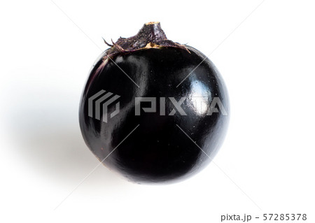 京まんじゅう茄子 57285378