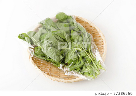 アマランサスの葉(葉野菜)袋入り アマランサスの葉(葉野菜)袋入り 57286566