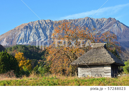 秋の大山と茅葺小屋 57288023