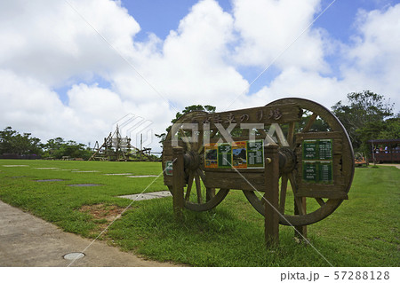 沖縄県・ビオスの丘 沖縄県・ビオスの丘 57288128