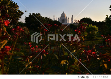 インドのアーグラー　世界遺産のタージマハル　美しい夕日と空と赤い花 57288368