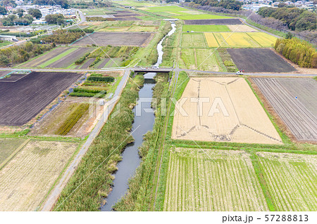 空撮 見沼田んぼ 稲刈り後の田んぼ俯瞰撮影の写真素材 [57288813] - PIXTA