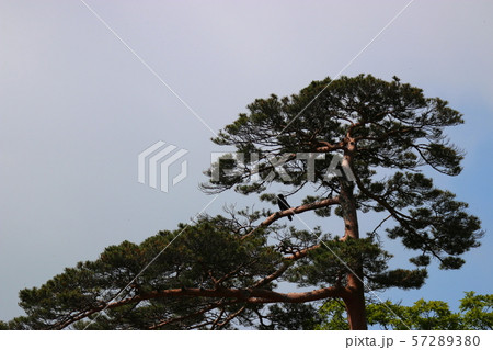 雲 快晴 景色 57289380