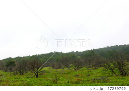 雲 快晴 景色 57289796