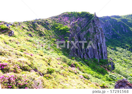 雲 快晴 景色 57291568