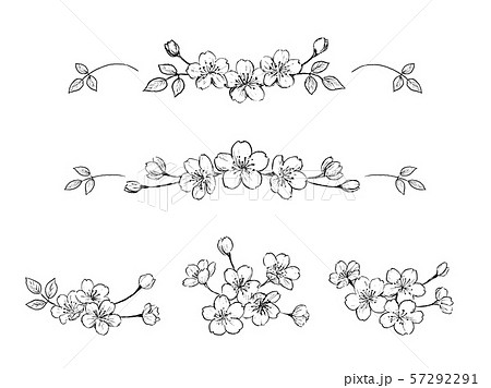 桜 ペン画 セットのイラスト素材