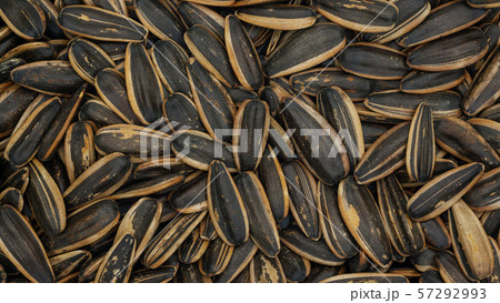 Close up of sunflower seed for a background. 57292993