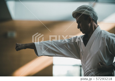 karateka karateka 57293218