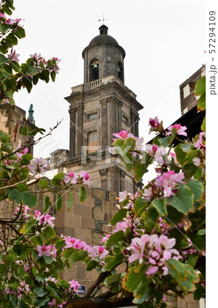 スペイン領、カナリア諸島、グランカナリア島、ラスパルマス、カテドラル 57294109
