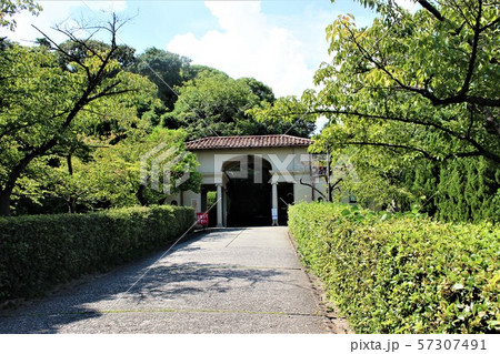 神戸女学院大学 神戸女学院大学 57307491