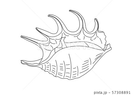 vector sea beach object clipartのイラスト素材 [57308891] - PIXTA
