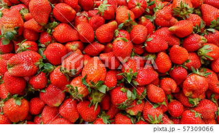 Strawberry for sale at rural market Strawberry for sale at rural market 57309066
