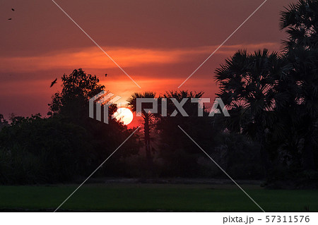 Sunset in tropical rural district, Siem Reap, Cambodia Sunset in tropical rural district, Siem Reap, Cambodia 57311576