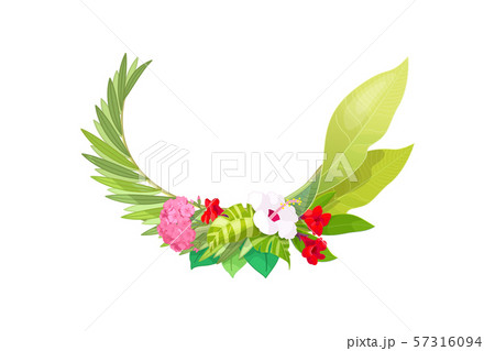 vector tropical pattern clip art vector tropical pattern clip art 57316094