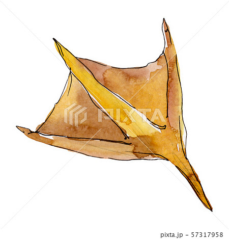 Duck flipper farm bird isolated. Watercolor background illustration set. Isolated duck illustration 57317958