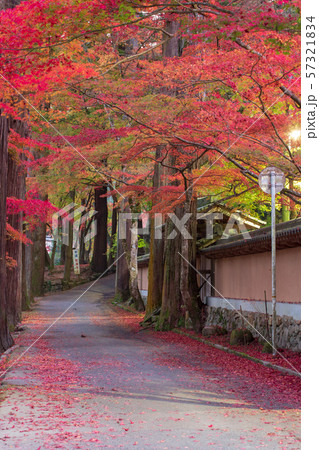 三原佛通寺の紅葉 57321834