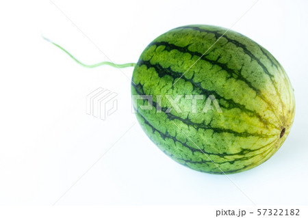 小玉すいか・姫甘泉 57322182